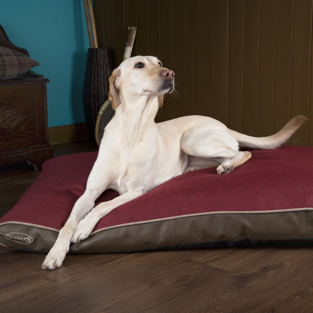 Hilton Memory Foam Orthopaedic Dog Bed / Dog Mattress (Burgundy, Brown, Grey) by Scruffs