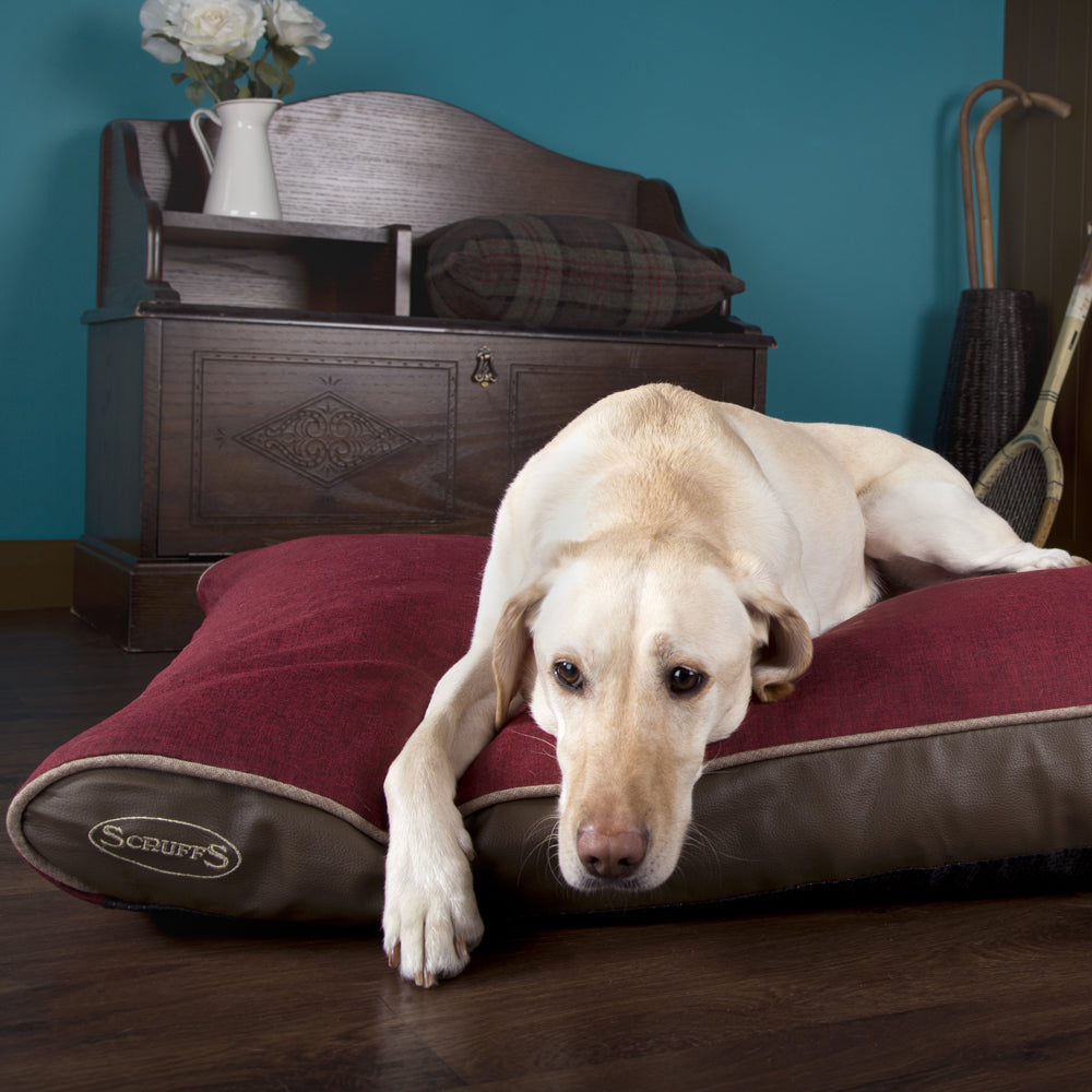 Hilton Memory Foam Orthopaedic Dog Bed / Dog Mattress (Burgundy, Brown, Grey) by Scruffs