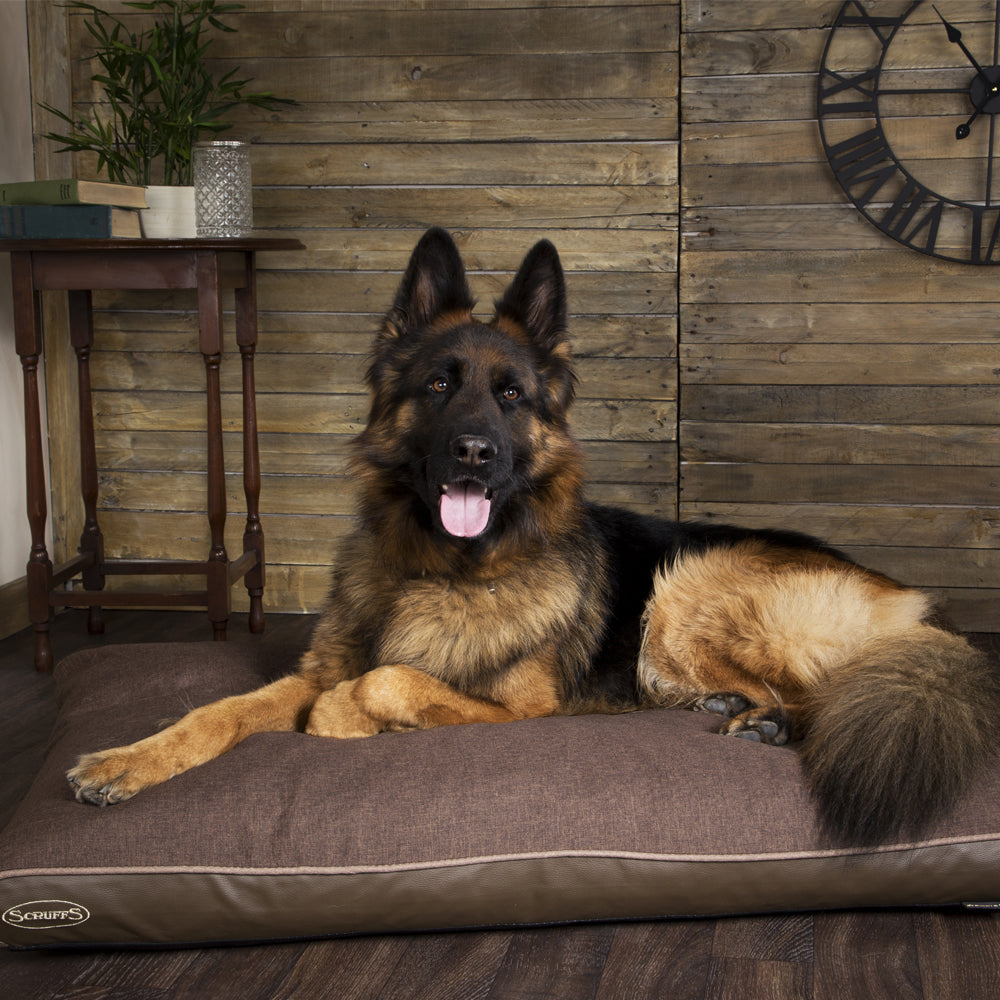 Hilton Memory Foam Orthopaedic Dog Bed / Dog Mattress (Burgundy, Brown, Grey) by Scruffs