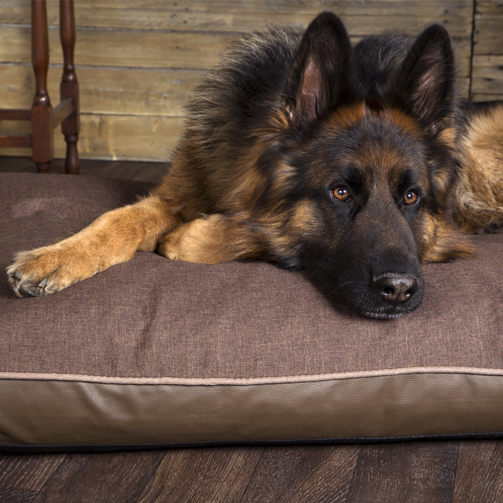 Hilton Memory Foam Orthopaedic Dog Bed / Dog Mattress (Burgundy, Brown, Grey) by Scruffs