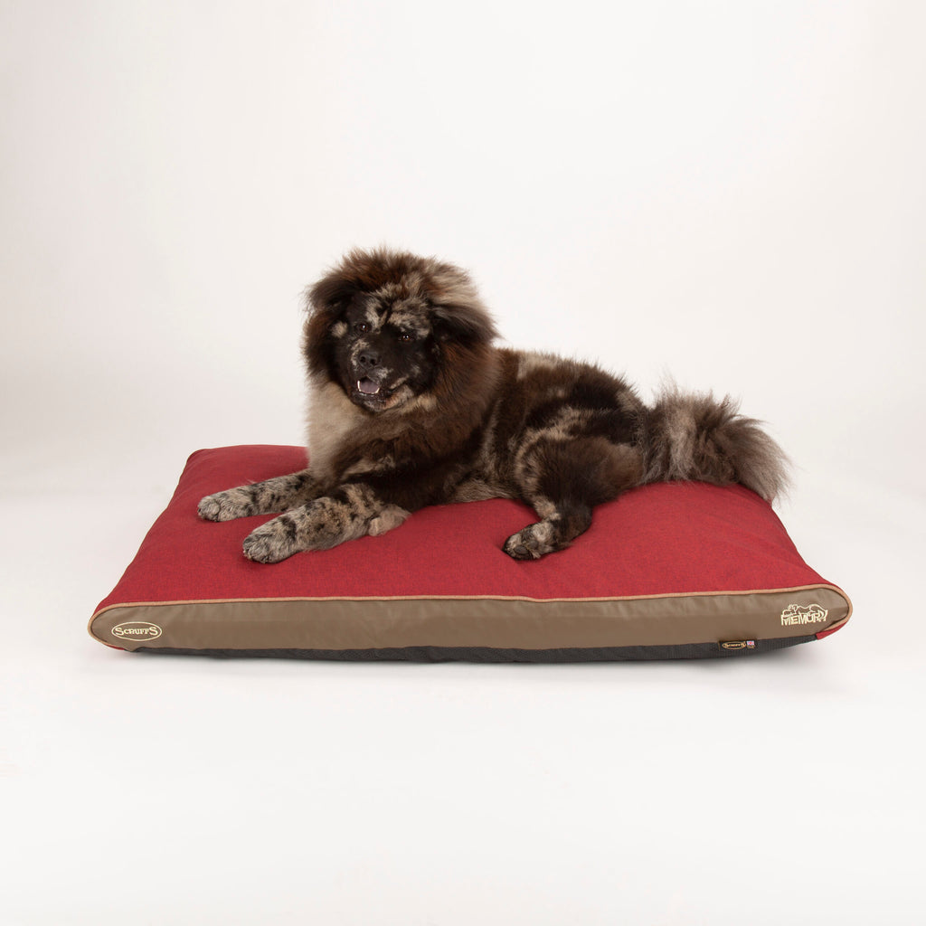 Hilton Memory Foam Orthopaedic Dog Bed / Dog Mattress (Burgundy, Brown, Grey) by Scruffs