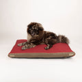 Hilton Memory Foam Orthopaedic Dog Bed / Dog Mattress (Burgundy, Brown, Grey) by Scruffs