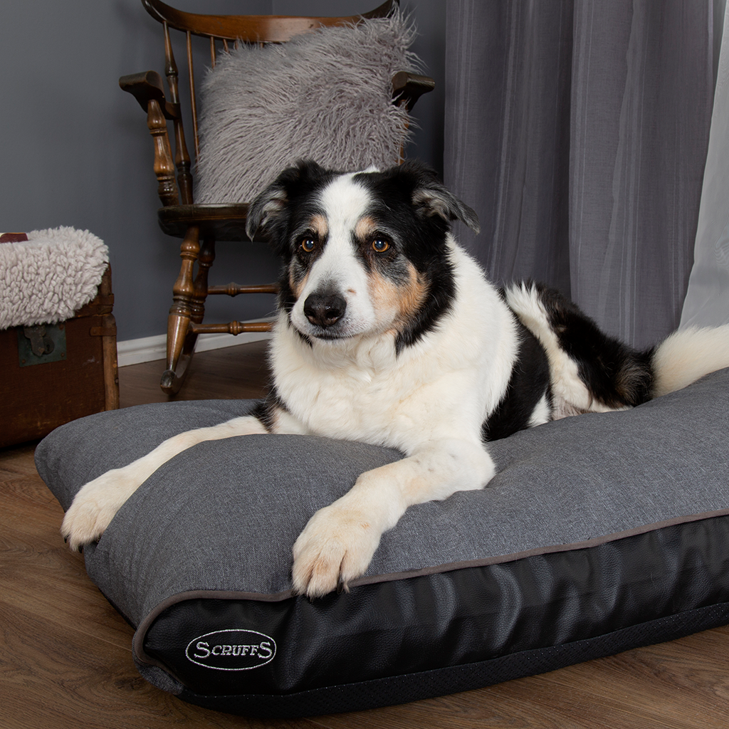 Hilton Memory Foam Orthopaedic Dog Bed / Dog Mattress (Burgundy, Brown, Grey) by Scruffs