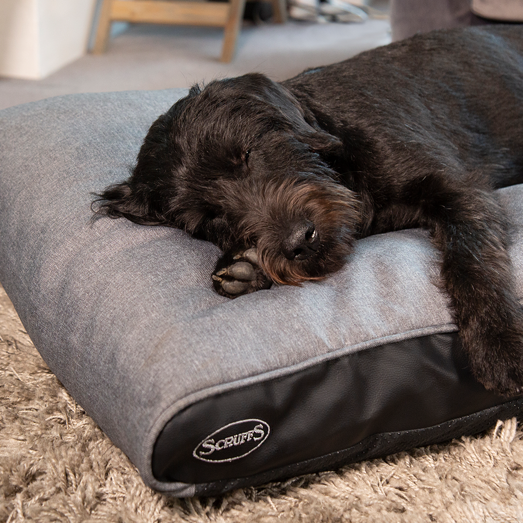 Hilton Memory Foam Orthopaedic Dog Bed / Dog Mattress (Burgundy, Brown, Grey) by Scruffs