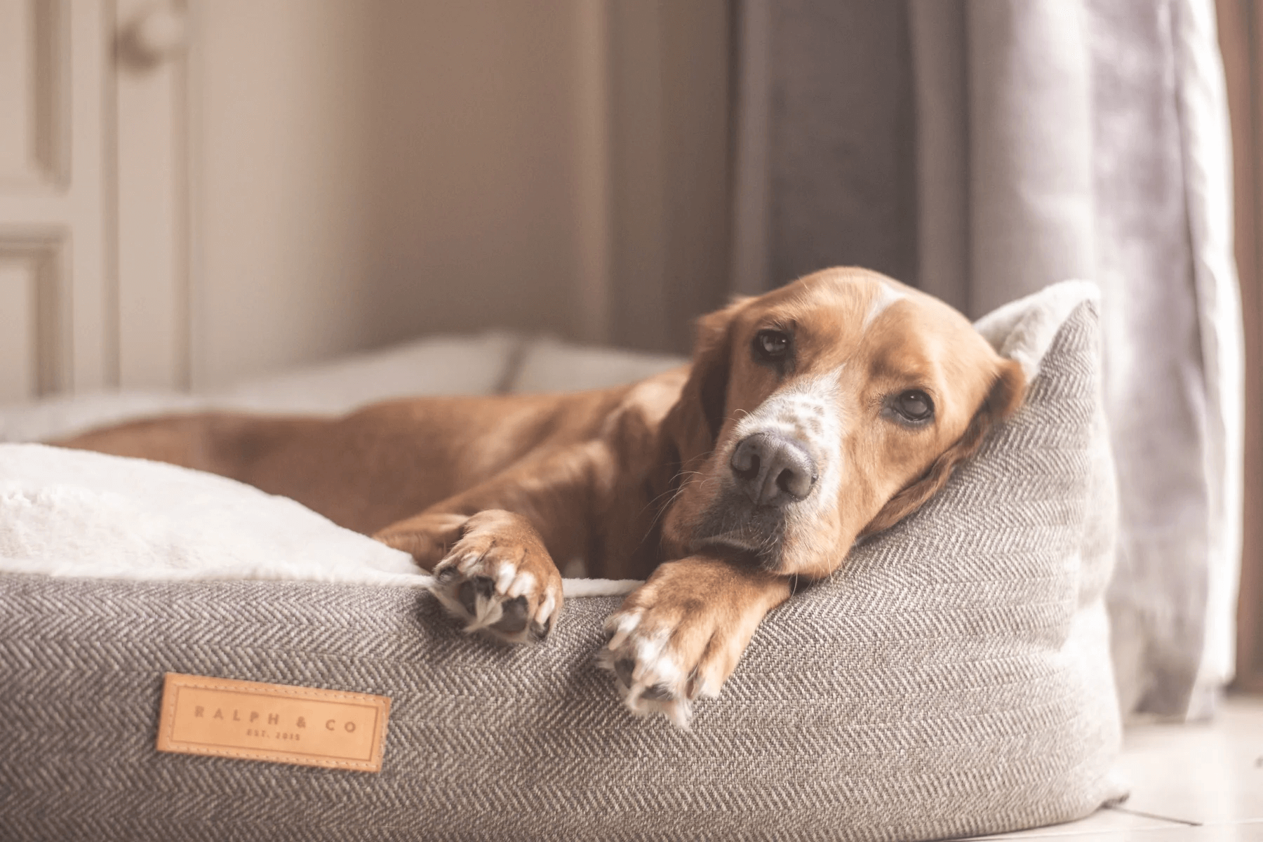 “Lincoln” Herringbone Nest Dog Bed – by Ralph & Co