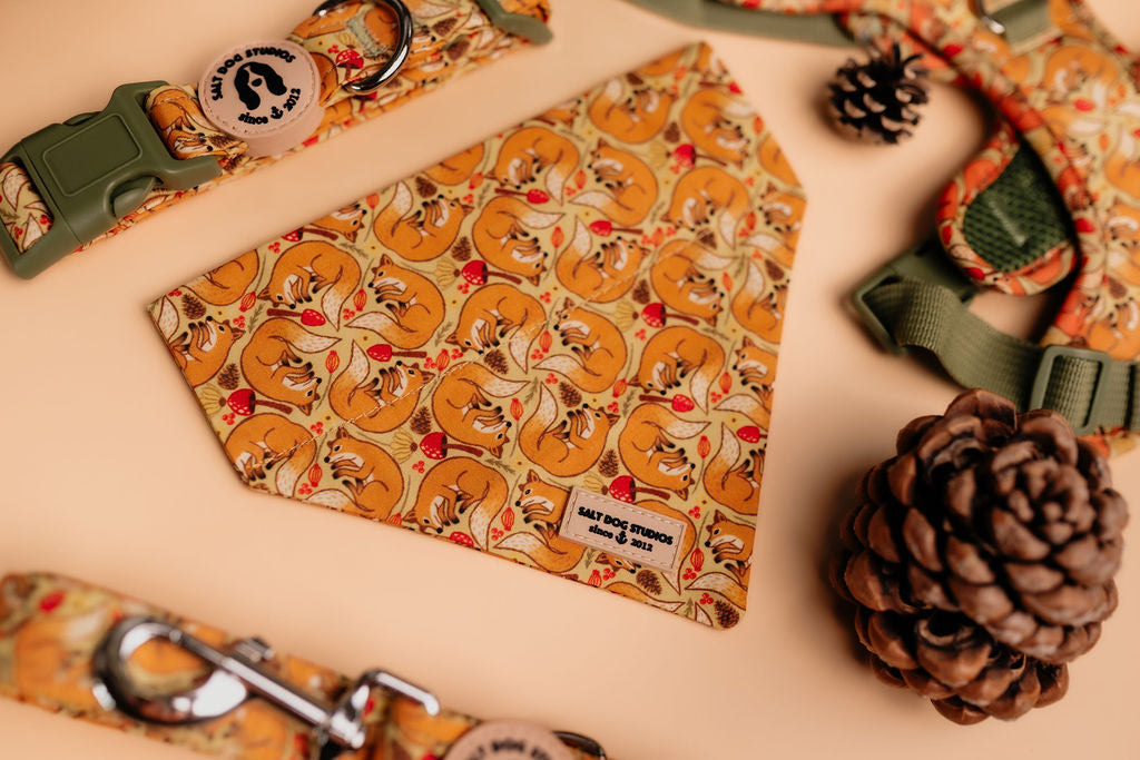 Fantastic Fox Dog Bandana