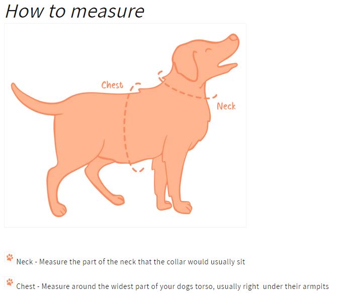 Oxford "Oasis" Adjustable Dog Collar – by Flossie & Floof