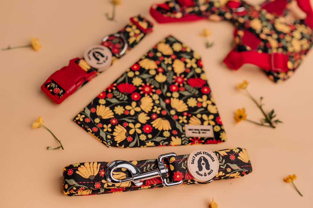 Folksy Flowers Dog Lead