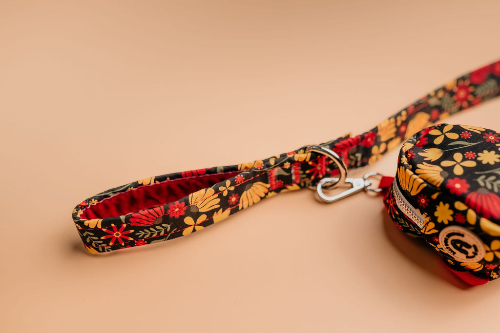 Folksy Flowers Dog Lead
