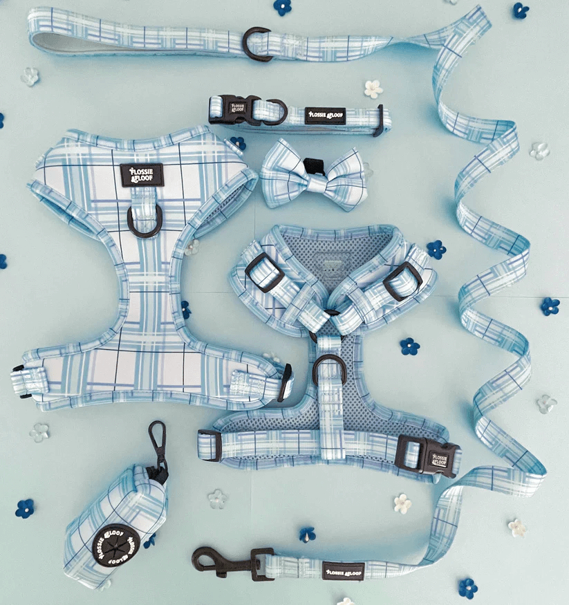 Oxford "Oasis" Adjustable Dog Collar – by Flossie & Floof