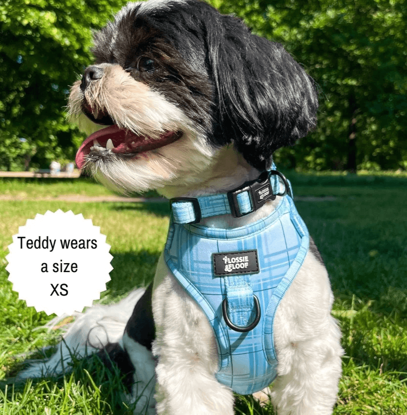 Oxford "Oasis" Adjustable Dog Collar – by Flossie & Floof