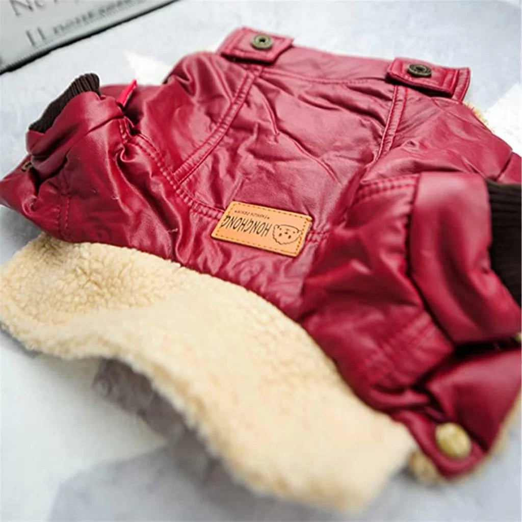 Elvis Dog Jacket (Red) by Doggy Doo Little