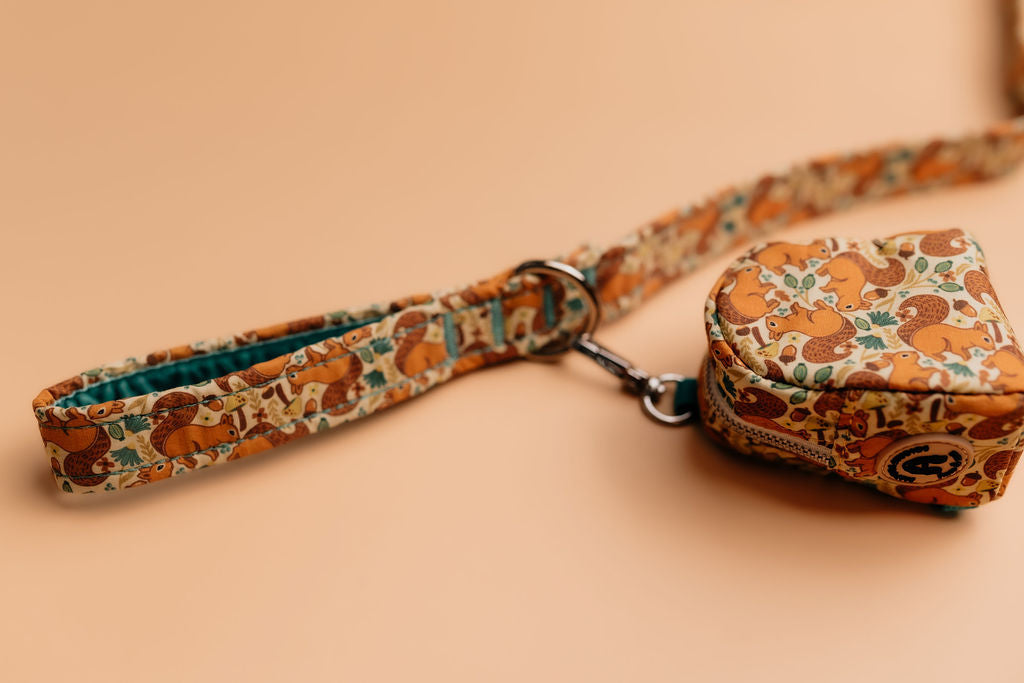 Splendid squirrels Dog Lead