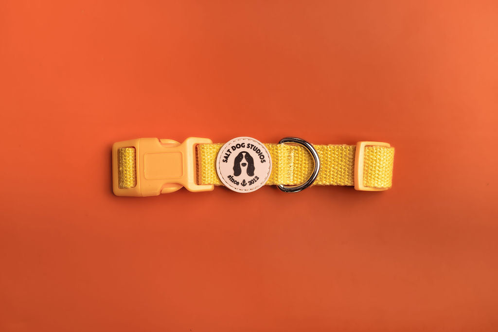 Organic Sunflower Yellow Hemp Dog Collar