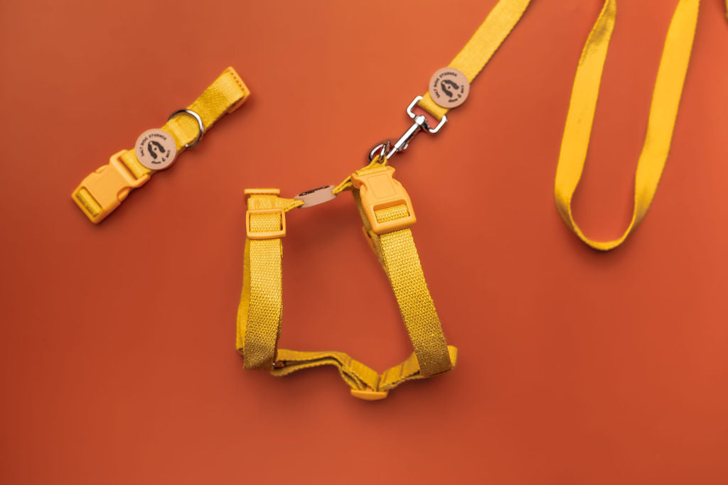Organic Sunflower Yellow Hemp Dog Collar
