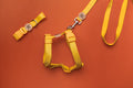 Organic Sunflower Yellow Hemp Dog Collar