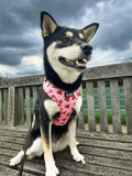 One in a Melon Adjustable Dog Harness – by Coco Couture
