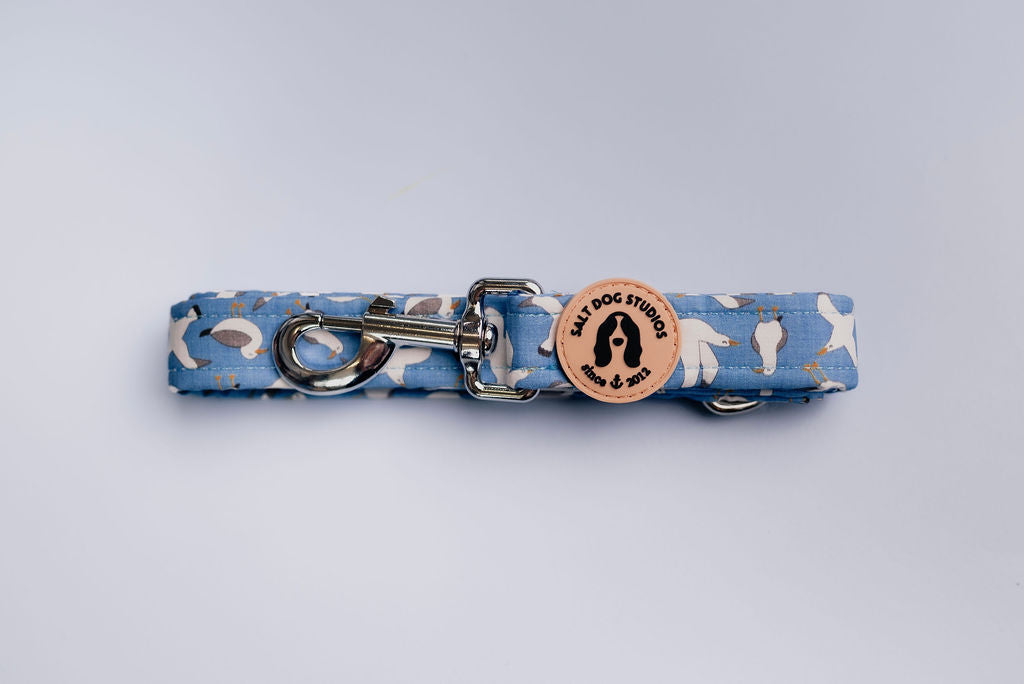 Seagulls Dog Lead