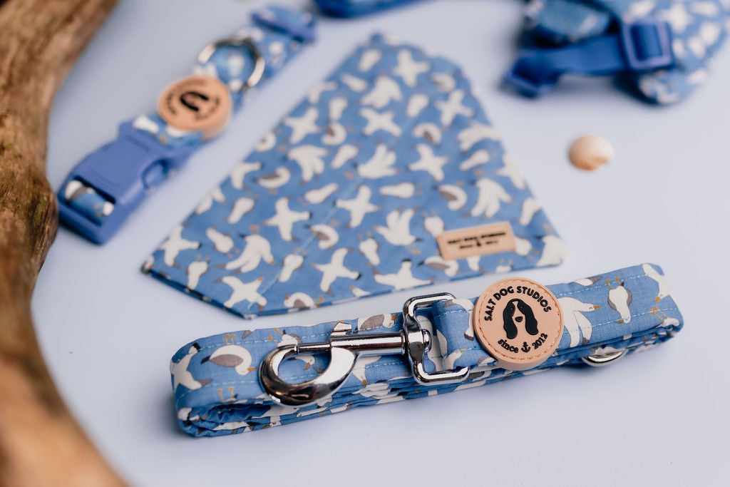 Seagulls Dog Lead