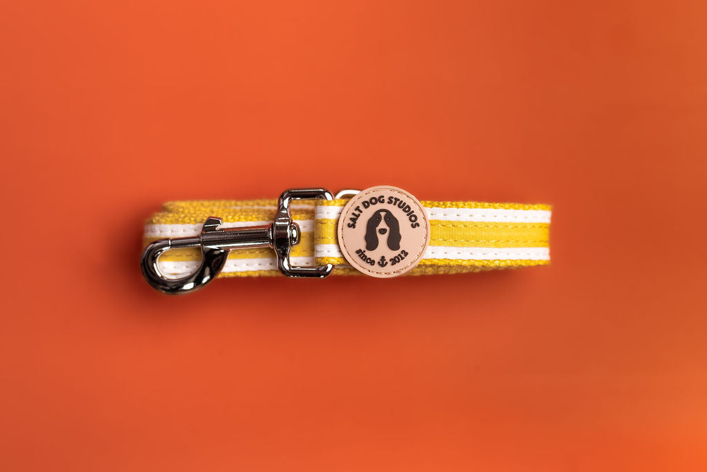 Organic Striped Sunflower Yellow Hemp Dog Lead